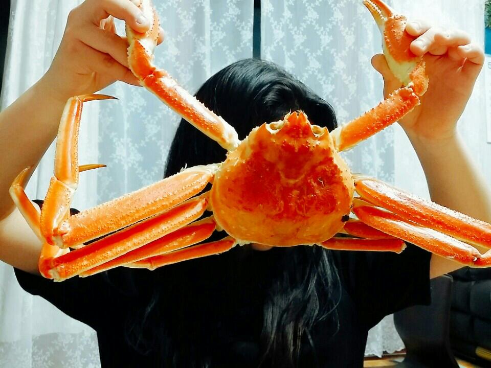 러사아산_러시아청정해역에서 잡은 자숙 대게