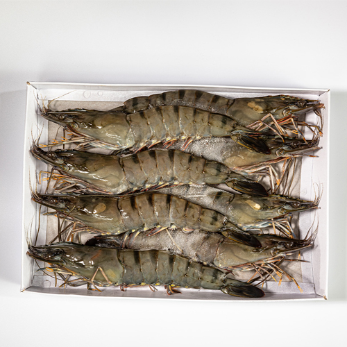 블랙타이거새우_500g