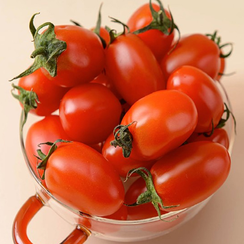 토망고_스테비아 방울토마토_500gx2팩 1kg