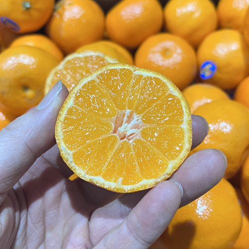 만다린 귤_미국 타이백 귤_14브릭스_3kg, 4.5kg
