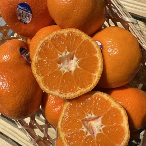 만다린 귤_미국 타이백 귤_14브릭스_3kg, 4.5kg