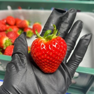 논산 금실딸기 친환경 스마트팜 생산 1kg (상) 42과