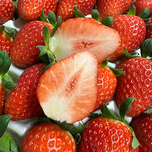 논산 금실딸기 친환경 스마트팜 생산 1kg (특) 30-35과